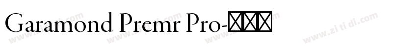 Garamond Premr Pro字体转换